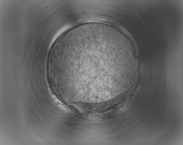 X0000076331138200610201658