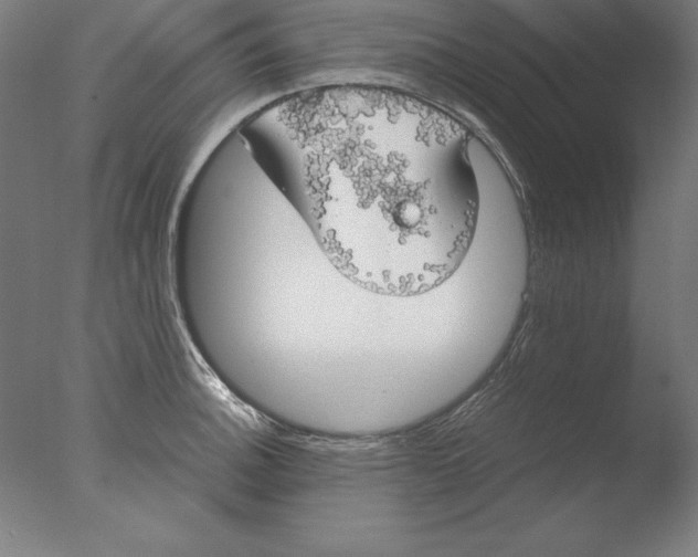 X0000076331140200610201658