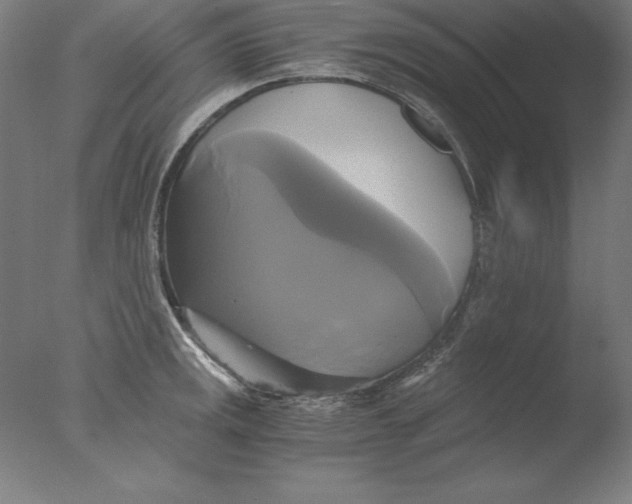 X0000076331141200610201658