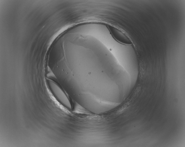 X0000076331142200610201658