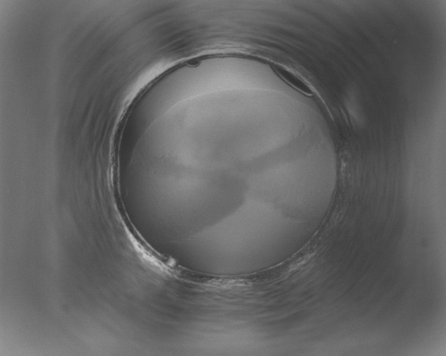 X0000076331143200610201658