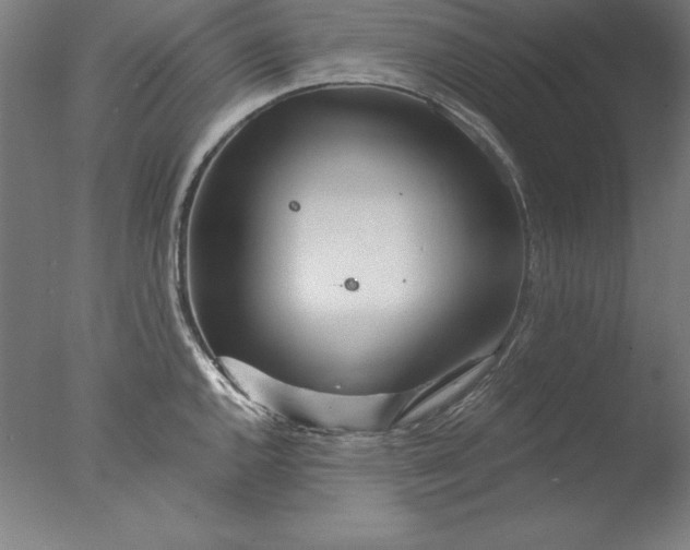 X0000076331144200610201658