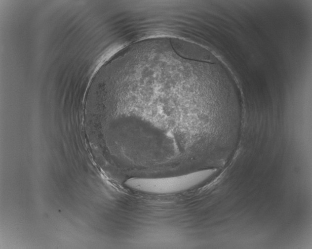 X0000076331145200610201658