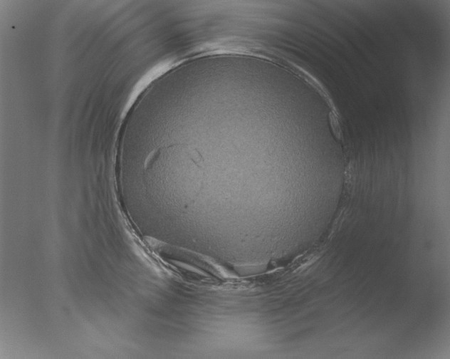 X0000076331146200610201658