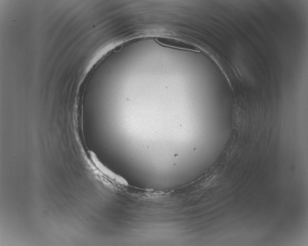 X0000076331147200610201658