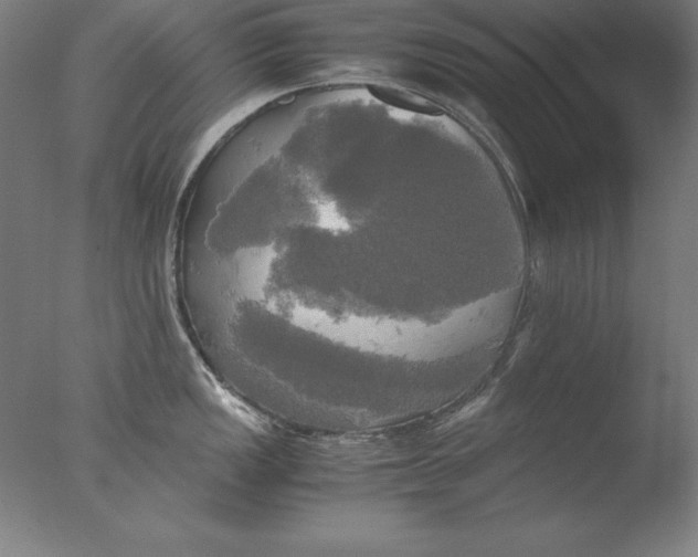 X0000076331149200610201658