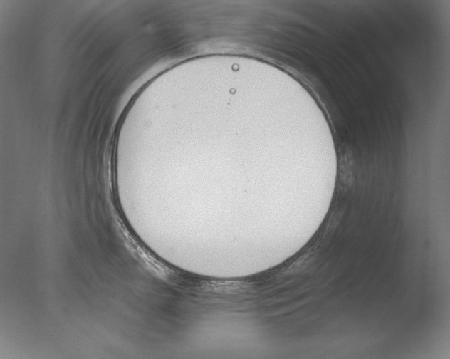 X0000076331150200610201658