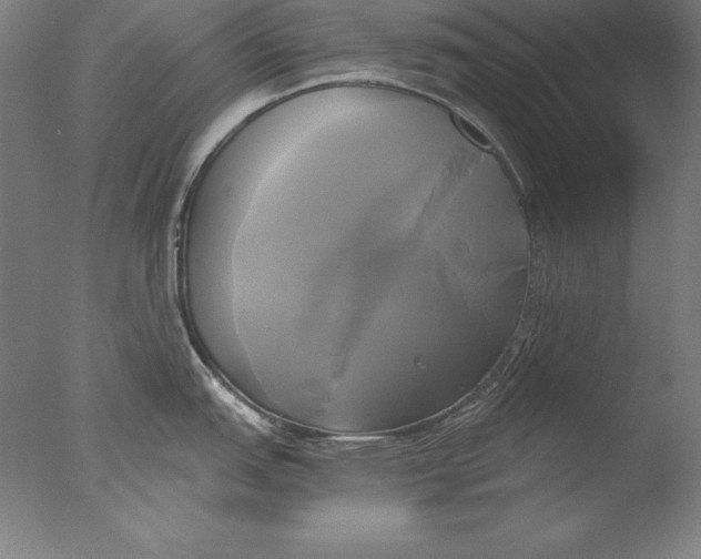 X0000076331151200610201658