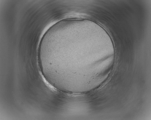 X0000076331152200610201658