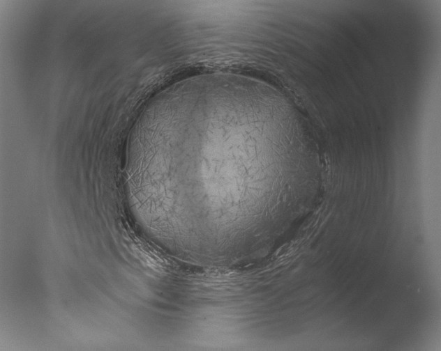 X0000076331153200610201657