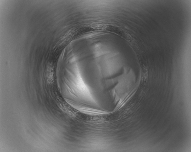 X0000076331154200610201657