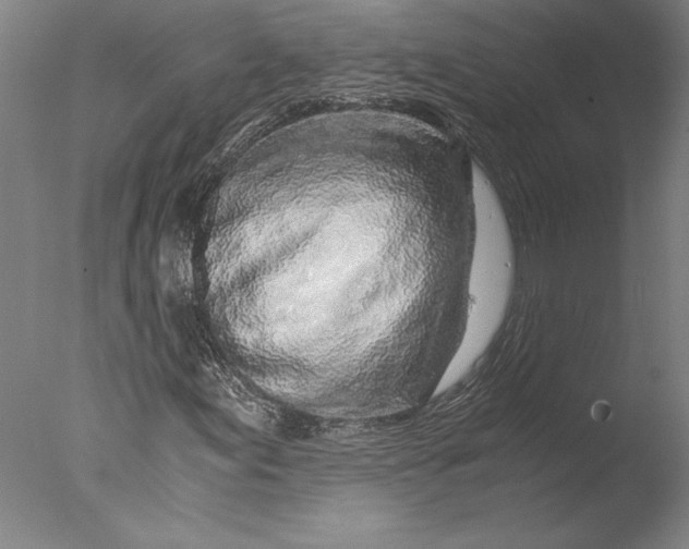 X0000076331155200610201657