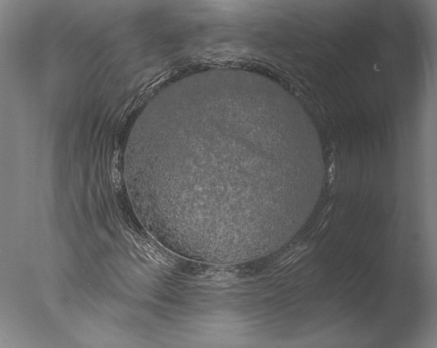 X0000076331156200610201657