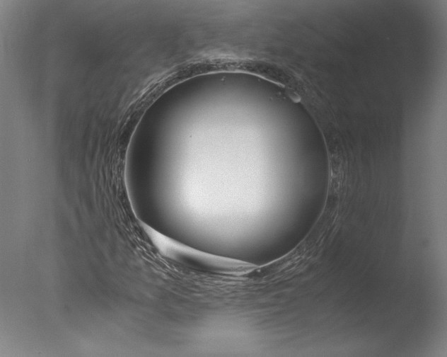 X0000076331157200610201657