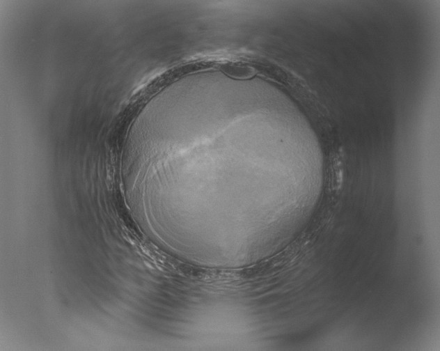 X0000076331158200610201657