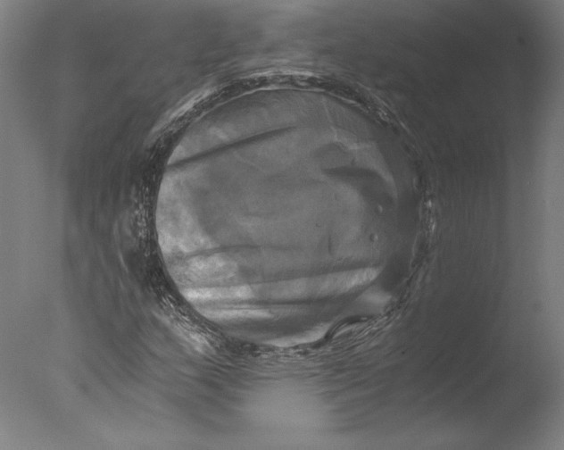 X0000076331159200610201657