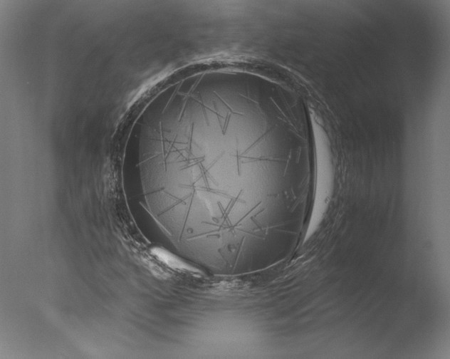 X0000076331160200610201657