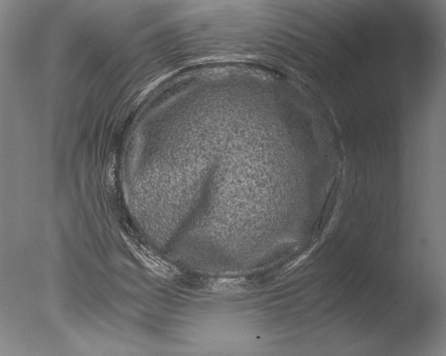 X0000076331161200610201657