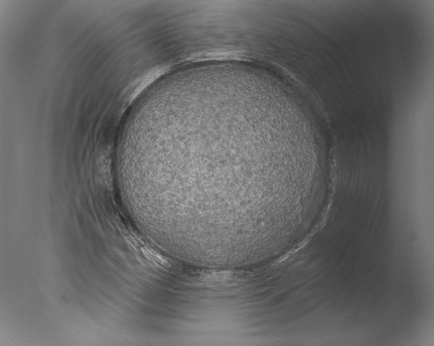 X0000076331162200610201657