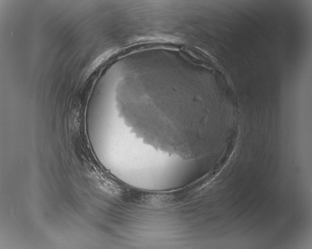 X0000076331163200610201657