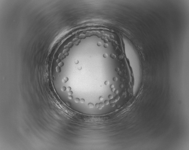 X0000076331164200610201657