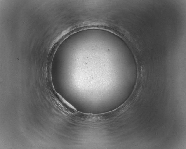 X0000076331165200610201657