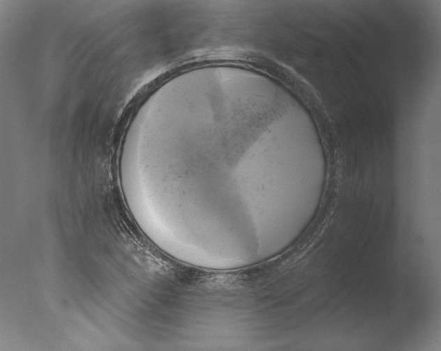 X0000076331166200610201657