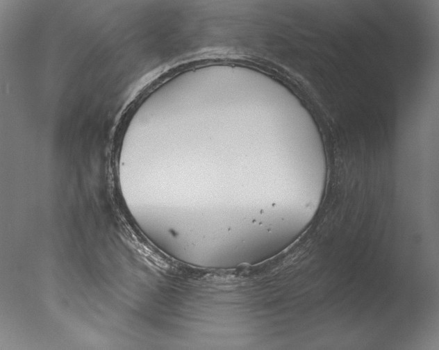 X0000076331168200610201657