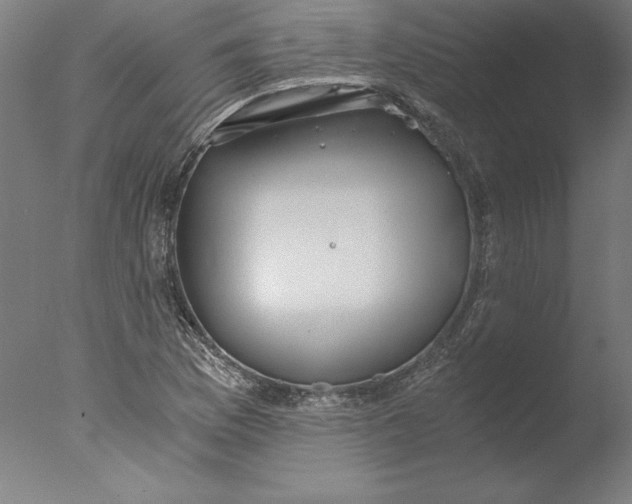 X0000076331169200610201657