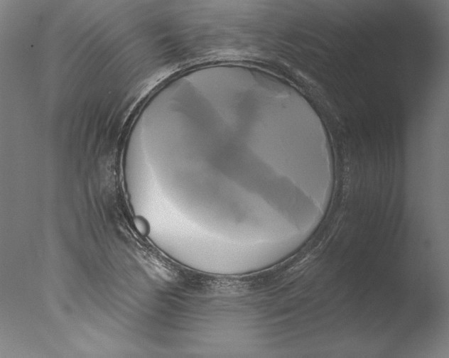 X0000076331170200610201657