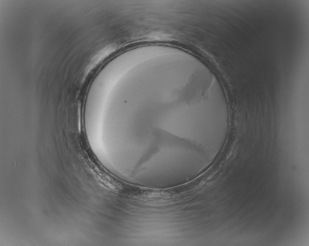 X0000076331171200610201657