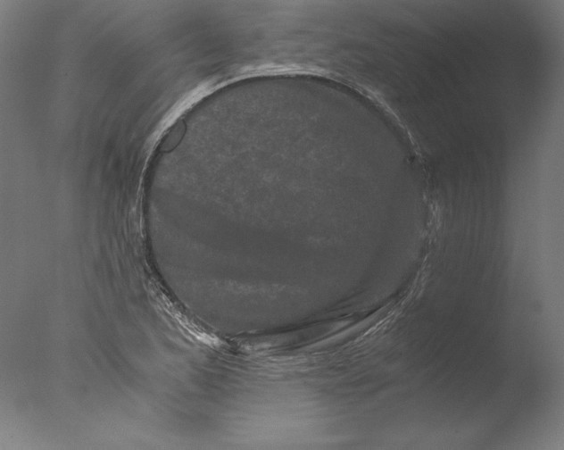 X0000076331173200610201657