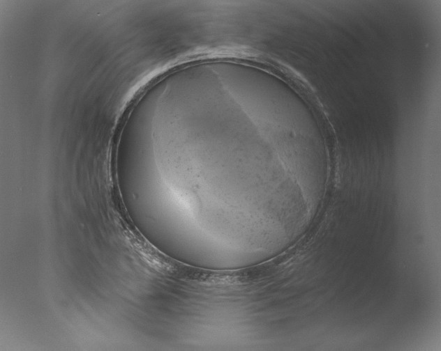 X0000076331174200610201657