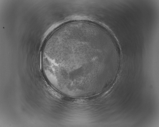 X0000076331175200610201657