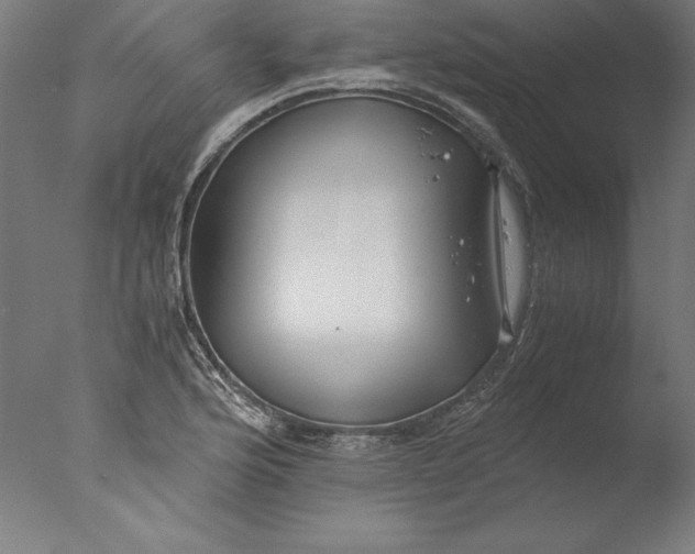 X0000076331176200610201657