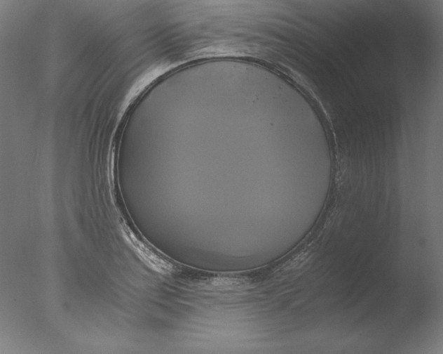 X0000076331179200610201657