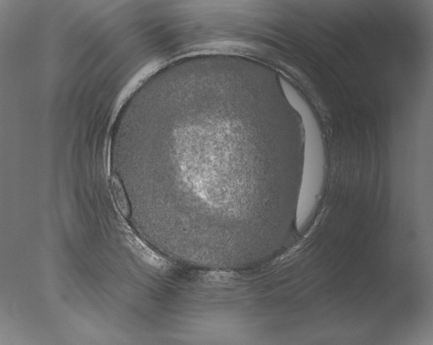 X0000076331180200610201657