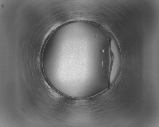 X0000076331181200610201657