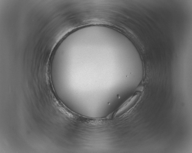 X0000076331182200610201657