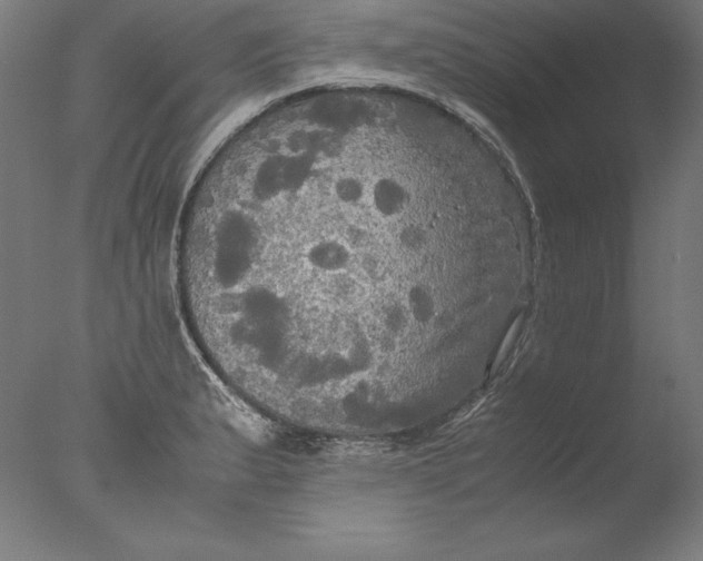 X0000076331183200610201657