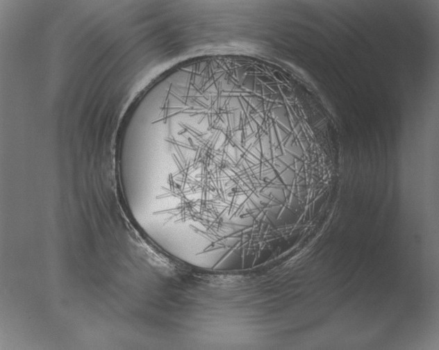 X0000076331184200610201657