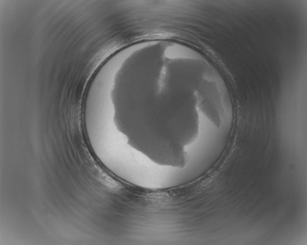 X0000076331186200610201657