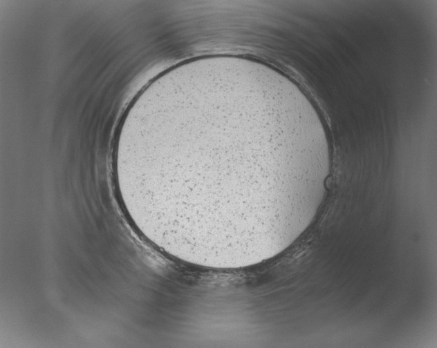 X0000076331187200610201657