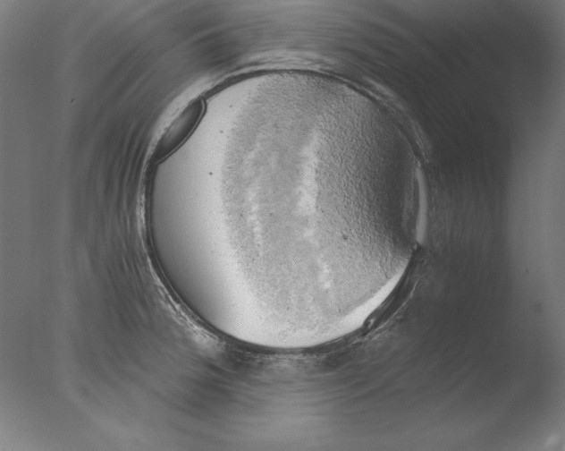 X0000076331188200610201657