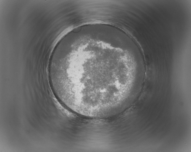 X0000076331189200610201657