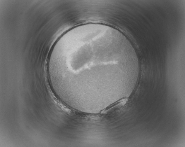 X0000076331190200610201657