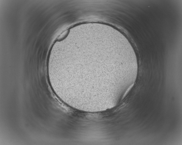 X0000076331191200610201657