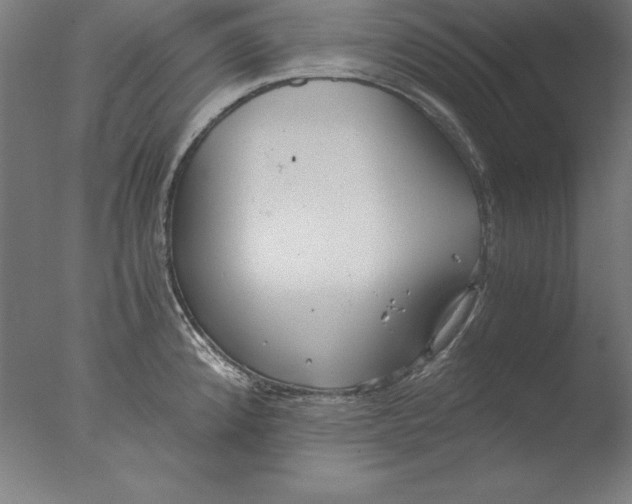 X0000076331192200610201656