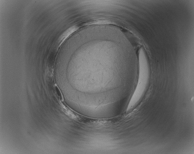 X0000076331193200610201656