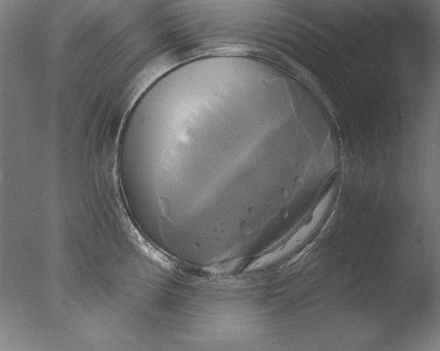 X0000076331194200610201656